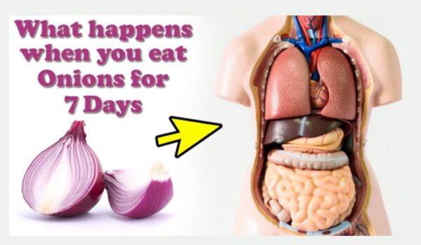 What Happens When You Eat Raw Onions for 7 days